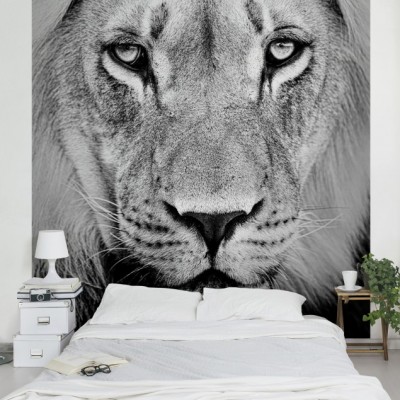 pugs hunt lions dieren en insecten rubenshop pugs hunt lions dieren en insecten rubenshop